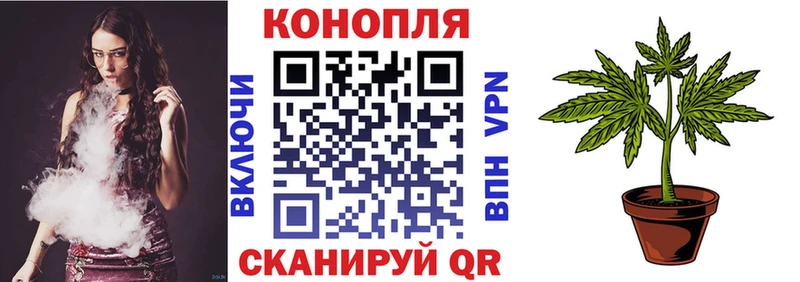 Купить где  Лиски  Бошки Шишки гибрид 